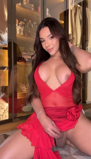 Foto acompanhante 18